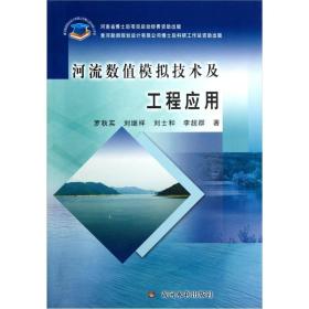 河流数值模拟技术及工程应用