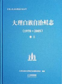 正版现货  大理白族自治州志1978-2005 卷三 云南人民 王超英