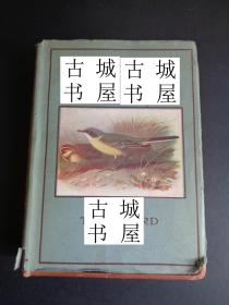 稀缺版， 《  不列颠群岛的鸟和它们的鸟蛋 》大量鸟类插图，约1940年出版，