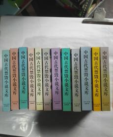 《中国古代禁毁小说文库》 全12册合售 精装