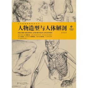 人物造型与人体解剖