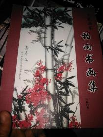 工笔画家 柏雨书画集