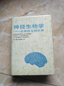 神经生物学–从神经元到大脑