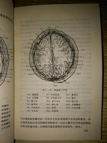 简明临床神经外科