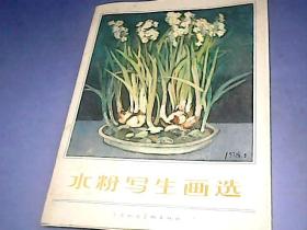水粉写生画选