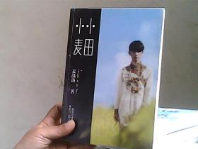 小小麦田：麦洛洛半自传式长篇小说
