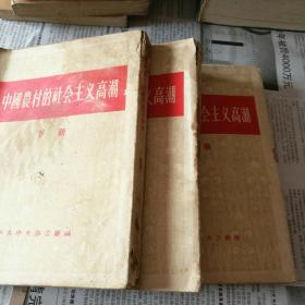 中国农村的社会主义高潮【上中下繁体竖板】