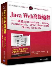 Java Web高级编程：涵盖WebSockets、Spring Framework、JPA Hibernate和Spring Security