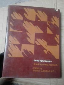 acute hand injuries  英文原版