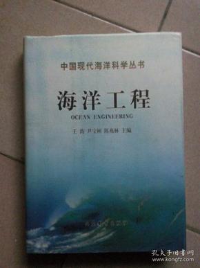 中国现代海洋科学丛书： 海洋工程