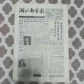 《湖北邮电报》（1996.1.2）