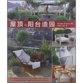 屋顶与阳台造园(景观与建设设计系列)