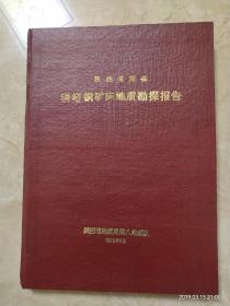 陕西省眉县铜峪铜矿床地质勘察报告