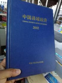 中国县域经济  2002  精装