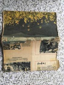 汉语 俚语 对照