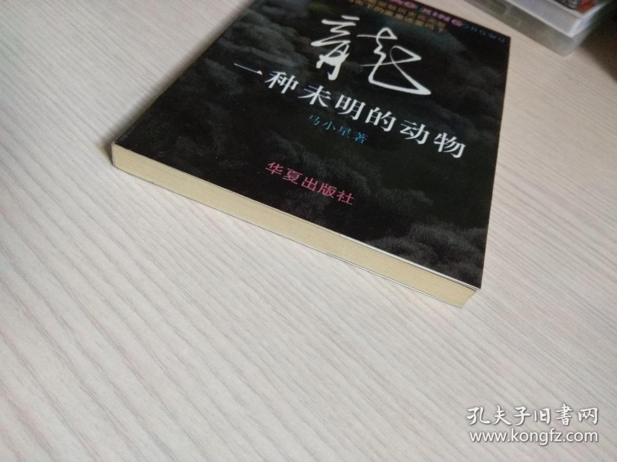 龙：一种未明的动物