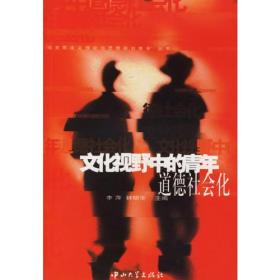 文化视野中的青年道德社会化/马克思主义理论与思想政治教育丛书