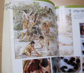 河母渡遗址（画册）