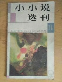 小小说选刊1991_11