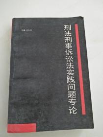 刑法刑事诉讼法实践问题专论