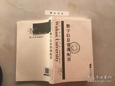 武汉大学学术丛书：数字信息资源配置