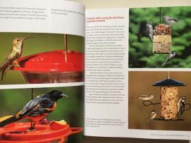 The Joy of Bird Feeding: The Essential Guide to Attracting and Feeding Our Backyard Birds(英文原版,铜版纸彩印)