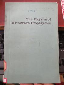 the physics of microwave propagation（货号：H169）