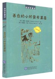 善良的小坏蛋布莱基ISBN9787510666698/出版社：现代教育