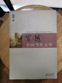 穿越中国当代文学