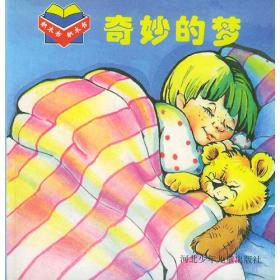 奇妙的梦——积木书