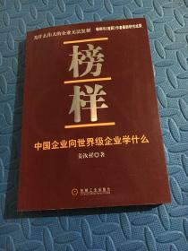 榜样：中国企业向世界级企业学什么