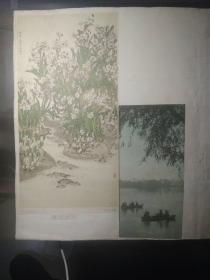 画片，剪画，水乡春色，郑乃珖作，1956年，西蕃莲，郭鸿勋作1957年，两张剪画都是贴在一张纸板上反正面