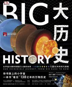 DK大历史：从宇宙大爆炸到我们人类的未来，138亿年的非凡旅程