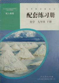 配套练习册 化学 九年级 下册 配套练习册 九年级下册 九下 配人教版 全新 正版