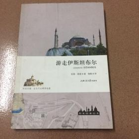 周末读城丛书：游走伊斯坦布尔