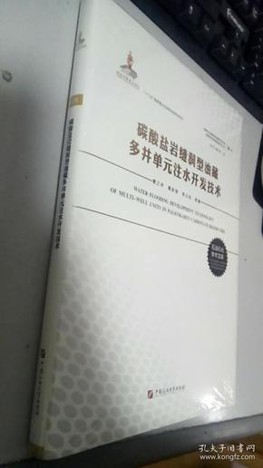 碳酸盐岩缝洞型油藏多井单元注水开发技术（卷六）/碳酸盐岩缝洞型油藏开采机理及提高采收率基础研究丛书