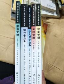 商业银行个人金融业务丛书渠道管理加银行卡业务加个人信贷业务加风险管理加财富管理（五本合售）