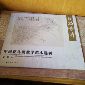 中国花鸟画教学范本选辑 白描花卉