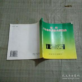 新编中小学实用报头图案集