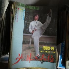 《少林与太极》杂志期刊（武术。少林拳。太极拳1989年第5期、1991年第4、5、6期、1992年第2、6期、1993年第3、5期、1995年第5、6期、1997年第3期、1999年第1期，品相不一，一部分很旧。可全购，也可分别购，每本40元）