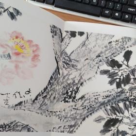 邵坦中花鸟长卷（16开经折装）