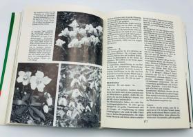 Horst Koehler: Das Praktische Gartenbuch 德文原版-实用的花园植物指南