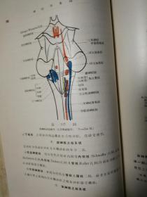 精选解剖学（下） 书内页  品最好的网上