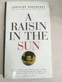 A Raisin in the Sun   日光下的葡萄干   英文原版