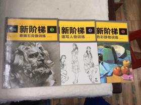 新阶梯：3素描石膏像训练，4速写人物训练，5色彩静物训练（共3本合售）