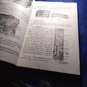 高等医药院校教材：组织学与胚胎学（供中医、针灸专业用）