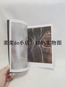 上海泓盛拍卖   泓盛2011  春季拍卖会   讯刊9   平装16开    9.9活动 包运费