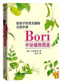 给孩子的常见植物识别手册Bori 手绘植物图鉴