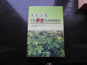 黑龙江省主要野生经济植物图谱（一版一印 铜版彩图）