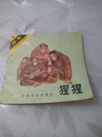 猩猩（1-4岁婴幼儿知识读物）